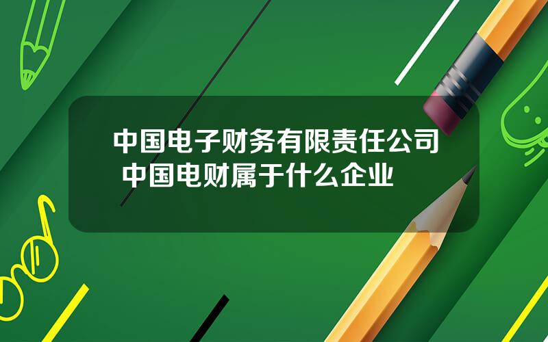 中国电子财务有限责任公司 中国电财属于什么企业